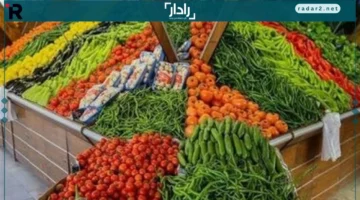 أسعار كيلو الطماطم والخضروات والفاكهة في كفر الشيخ الخميس 23 أكتوبر 2025